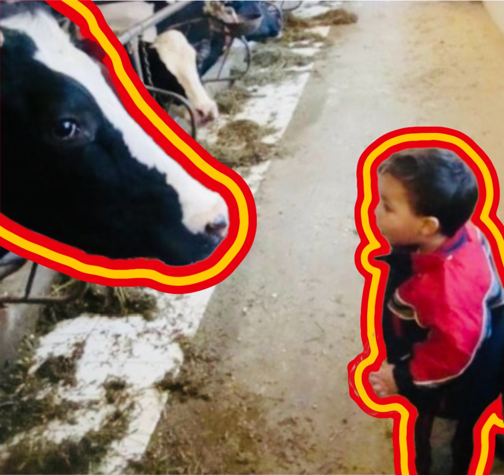Pennsylvania dairy roots: cows, cream, and curiosity.